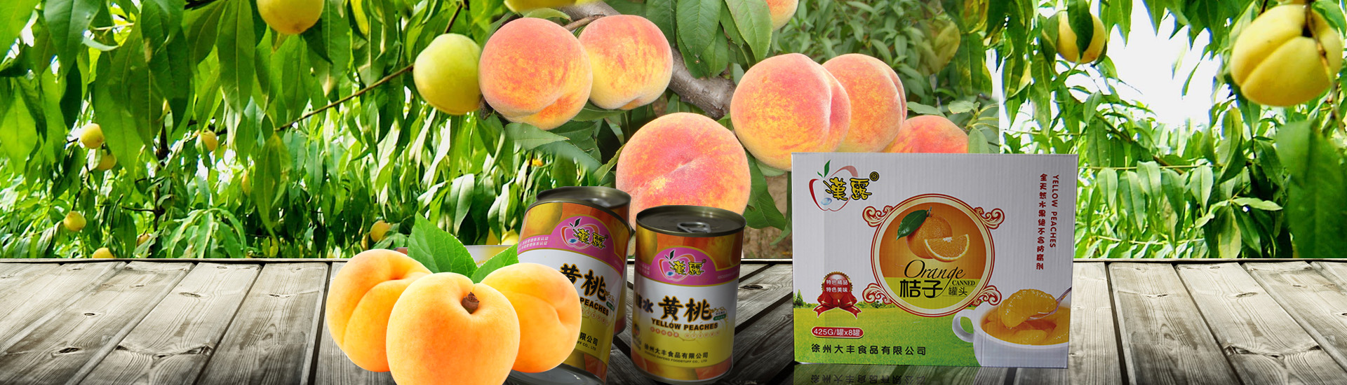 河北九凱食品有限公司